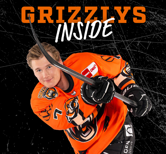 Grizzlys Wolfsburg Inside