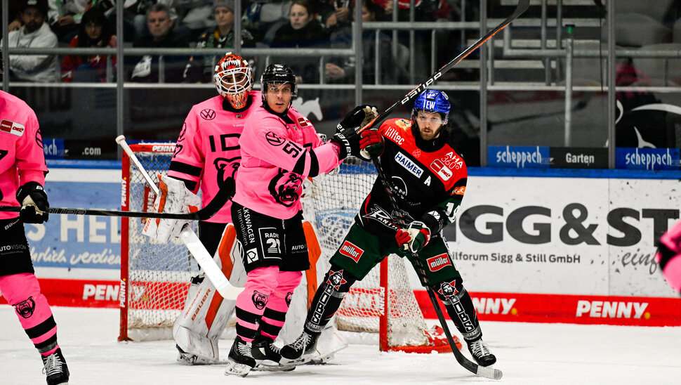 News: Im Gegner-Check: die Augsburger Panther