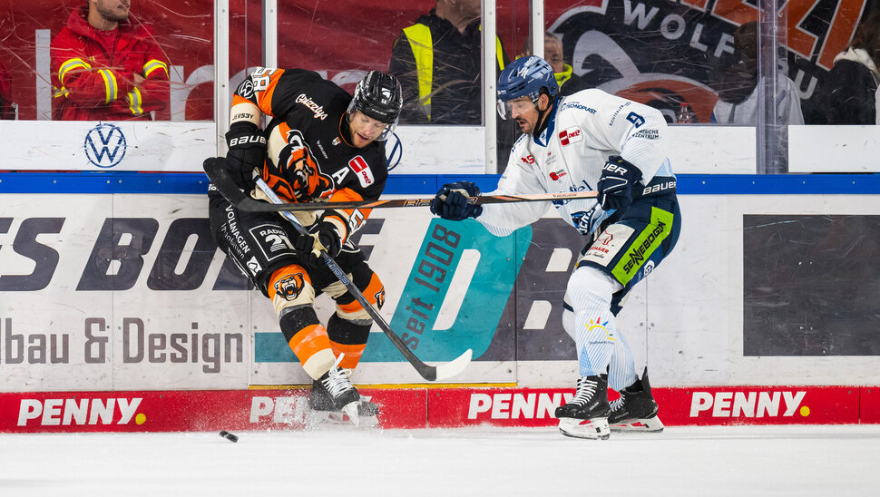 News-Slider: Grizzlys starten beim Gäuboden-Cup