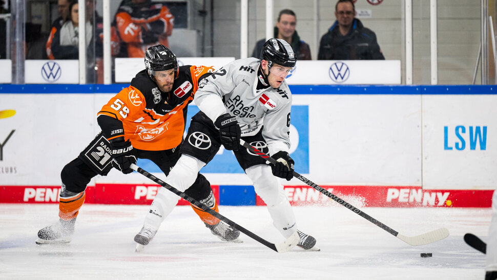 News: Im Gegner-Check: die Kölner Haie