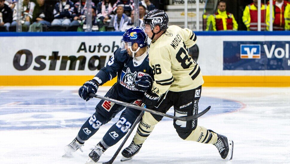 News: Grizzlys unterliegen Huskies