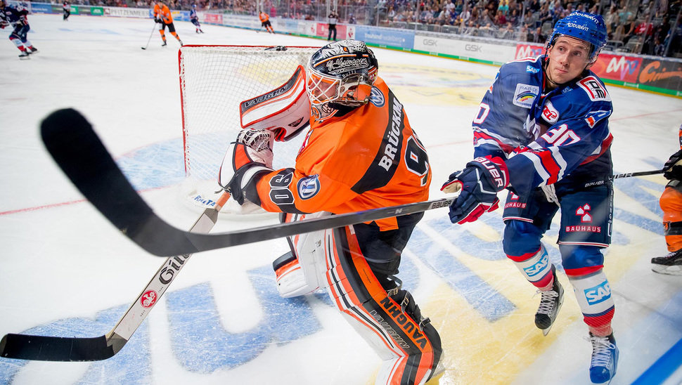 Nach der Auftaktniederlage in Mannheim wollen die Grizzlys in Berlin punkten. Bild: Binder.