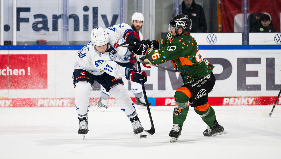 News: Kurz vor Heiligabend kommen die Roosters