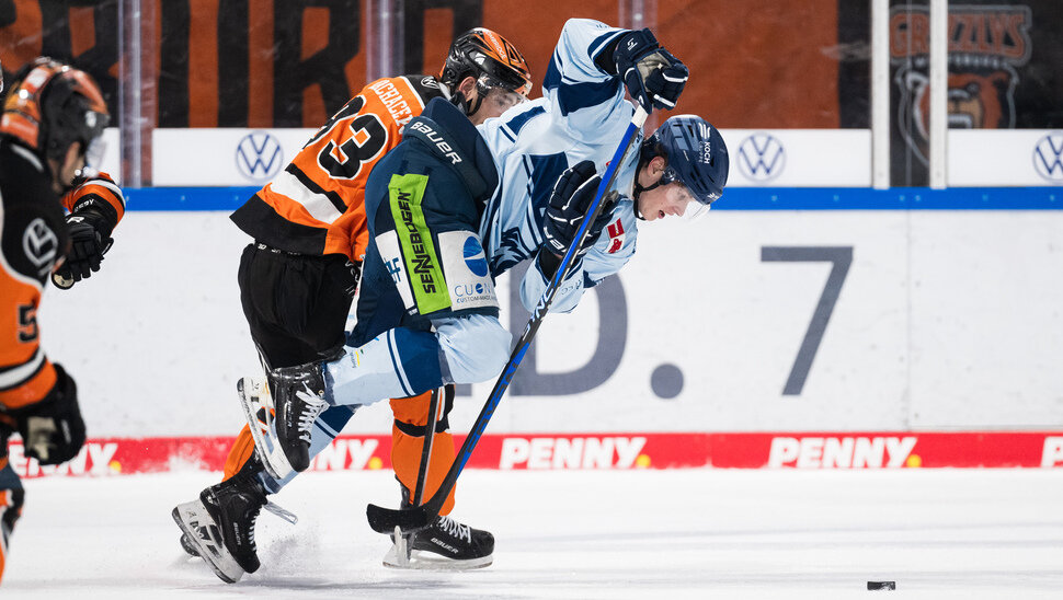 News: Die Straubing Tigers im Gegner-Check