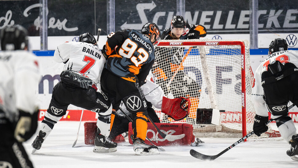 News: Die Kölner Haie unter der Lupe