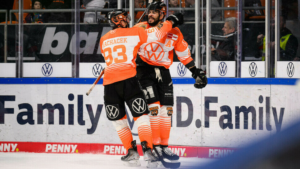 News: Grizzlys starten mit Einzelkartenverkauf