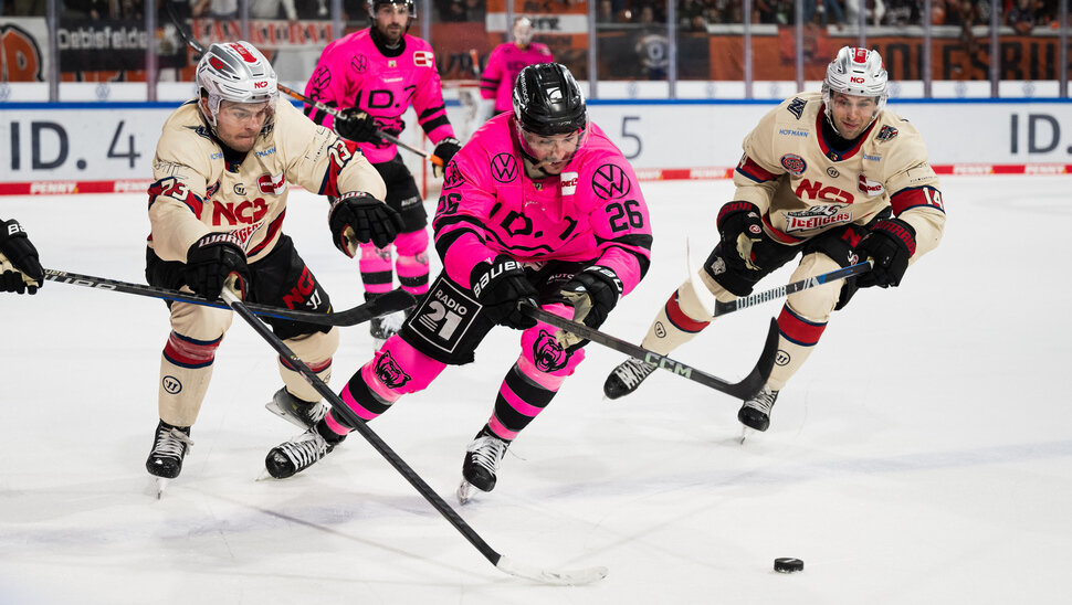 News: DIe Nürnberg Ice Tigers unter der Lupe
