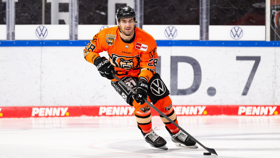 News: Grizzlys testen bei den Haien