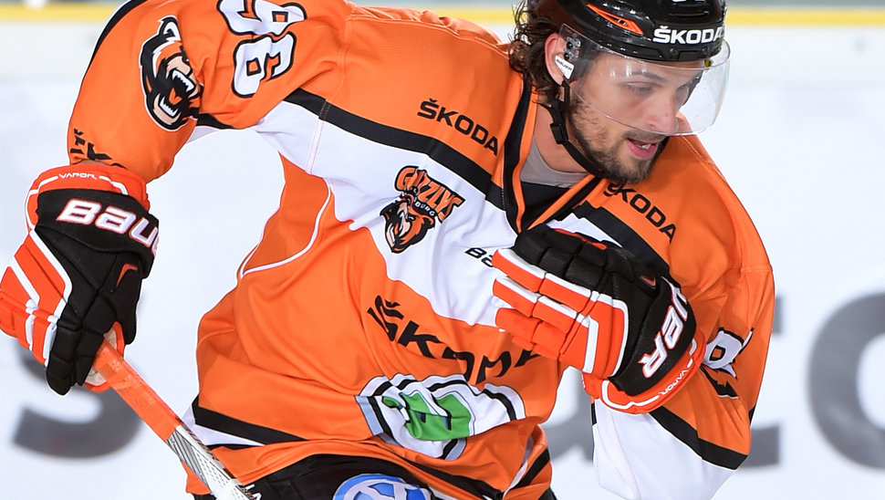 Nichts Zählbares konnten die Grizzlys um Andy Reiss aus Iserlohn mit nach Hause nehmen.