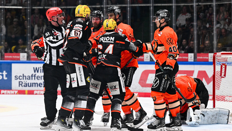 News-Slider: Unter der Lupe: die Löwen Frankfurt