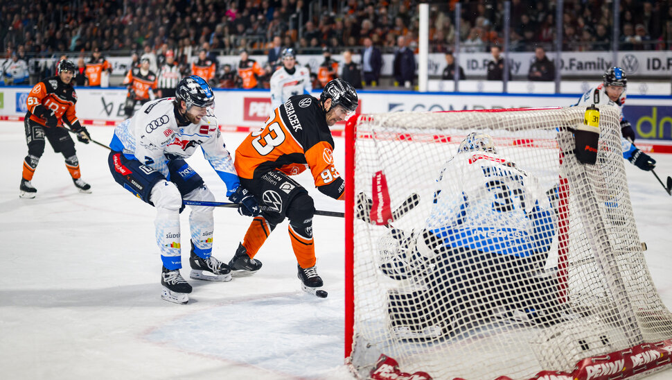 News: Mit den eigenen Fans zu ganz wichtigen Punkten