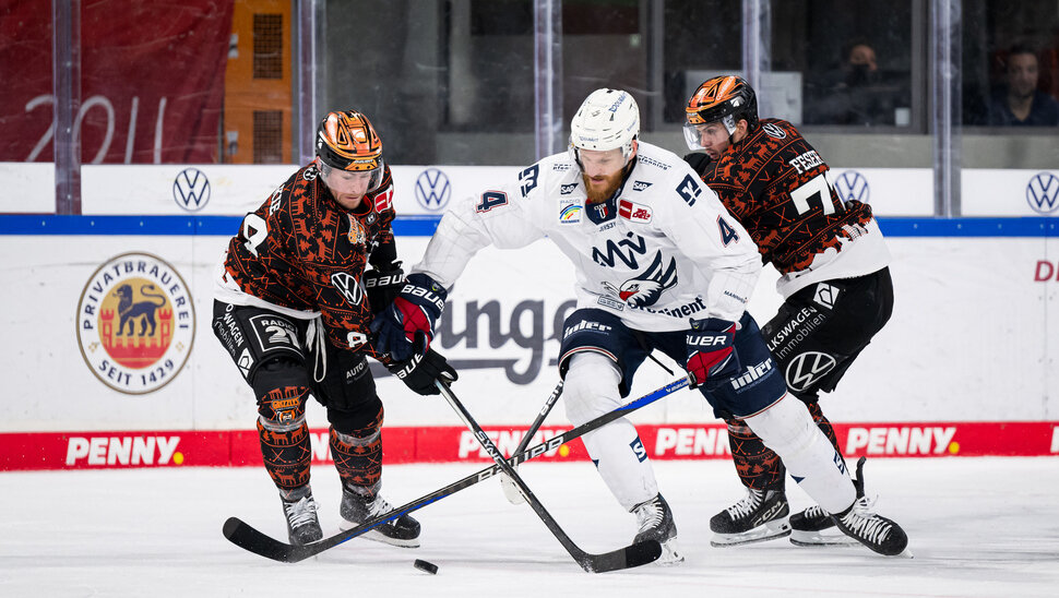 News: Im Gegner-Check: die Adler Mannheim