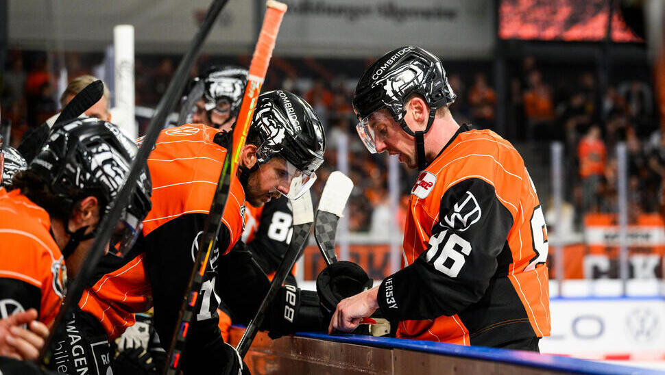 News-Slider: Heimspiel-Wochenende für die Grizzlys