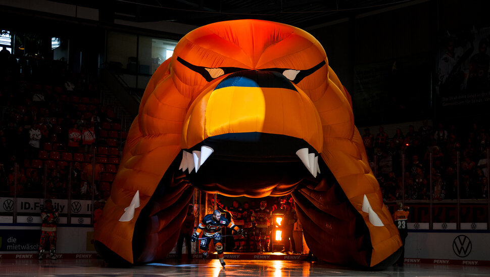 News: Die Halbzeitbilanz der Grizzlys