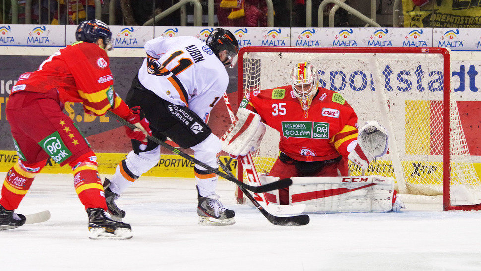 Die Grizzlys wollen nach der Heimniederlage gegen Schwenningen zurück in die Spur finden.