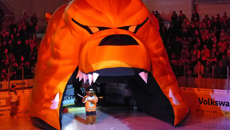 Mit vollem Elan starten die Grizzlys in die neue Spielzeit 2016-2017.