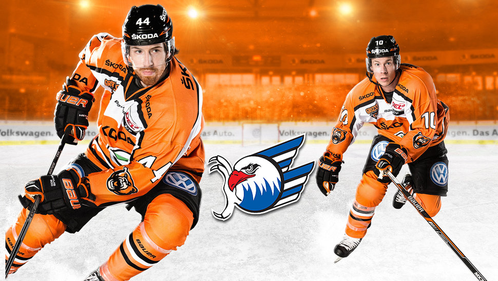 Mit einem Sieg über die Adler Mannheim könnten sich die Grizzlys in der Tabelle und im Kampf um Platz sechs weiter absetzen.