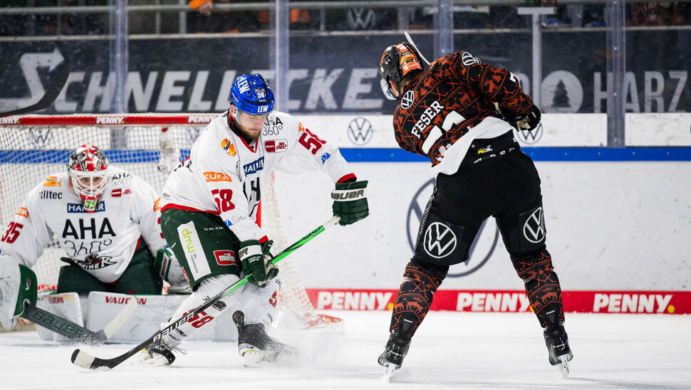 News: Die Augsburger Panther unter der Lupe