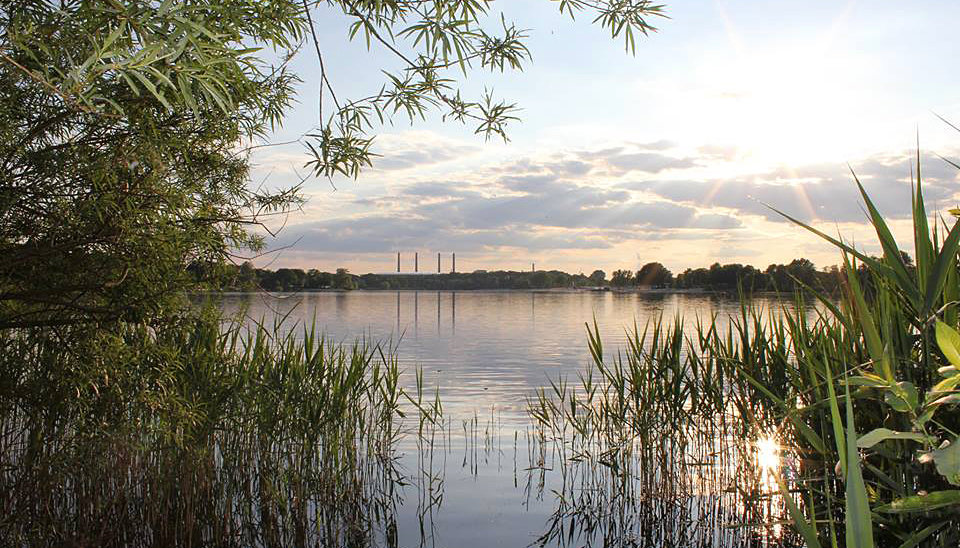 Der Allerpark in Wolfsburg zeigt sich am Sonnabend wieder von seiner schönsten Seite.