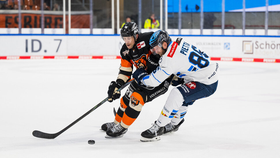 News-Slider: Heimspiel: Grizzlys empfangen Ingolstadt