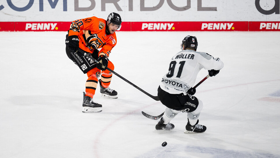 News: Die Grizzlys live im Free-TV