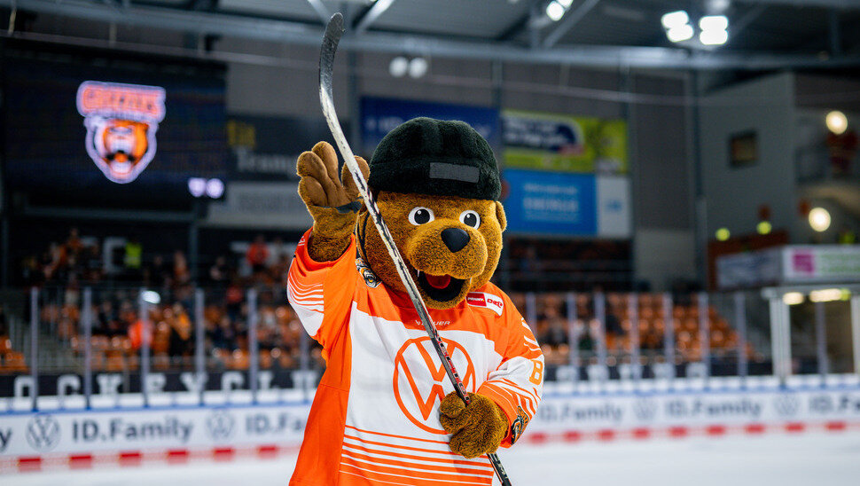 News: Grizzlys suchen Maskottchen-Darsteller
