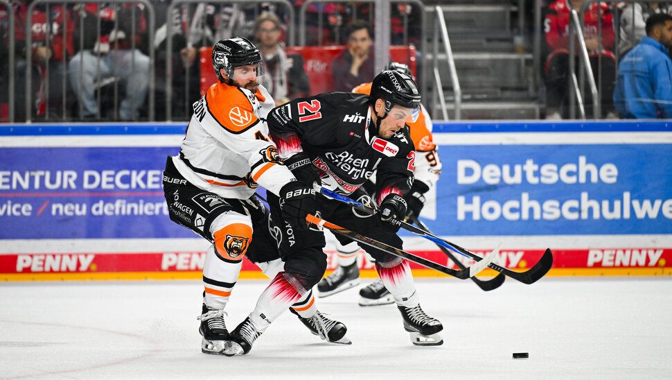 News-Slider: Die Kölner Haie unter der Lupe