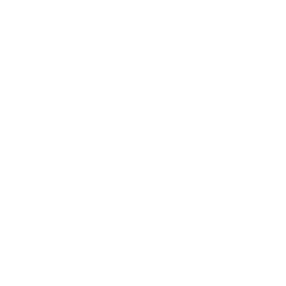 Dresdner Eislöwen